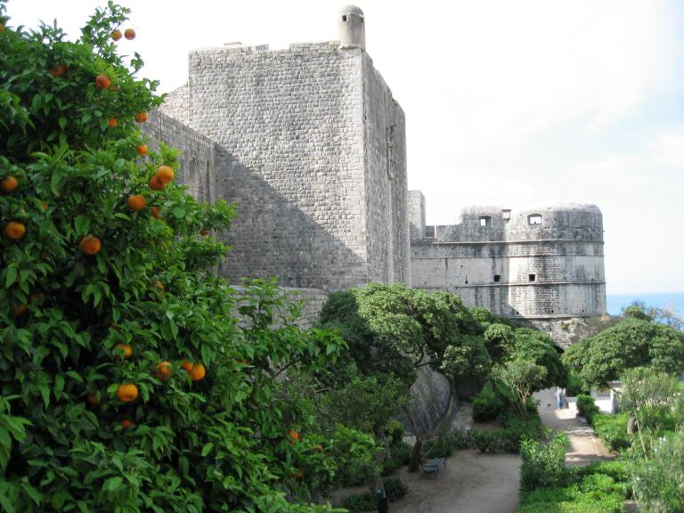 Orange Trees Near Pile Gate Dubrovnik