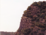 Rhine River Cruise